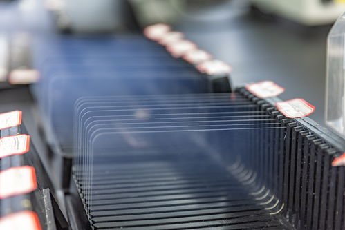 城市巡禮丨重慶 以高品質特種鋼鑄就高質量發展脊梁